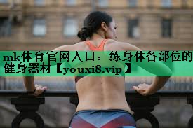 練身體各部位的健身器材